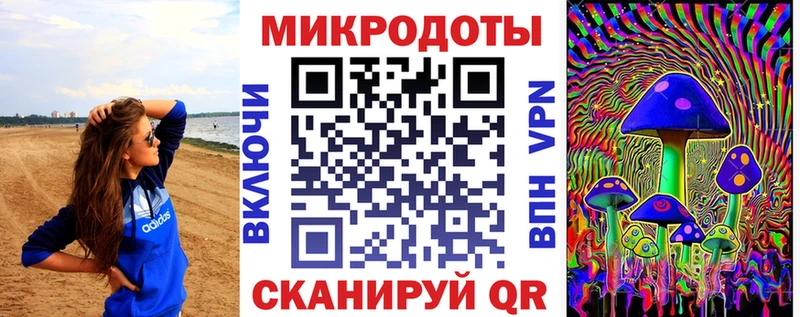 Купить закладки  Злынка  Галлюциногенные грибы MAGIC MUSHROOMS 